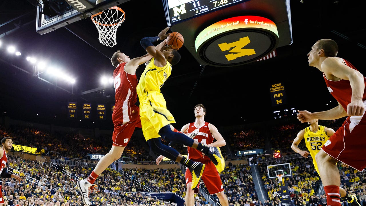 Badgers not road kill away from home